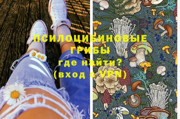 стаф Алексин