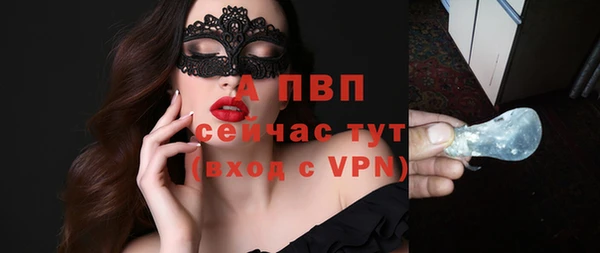 стаф Алексин