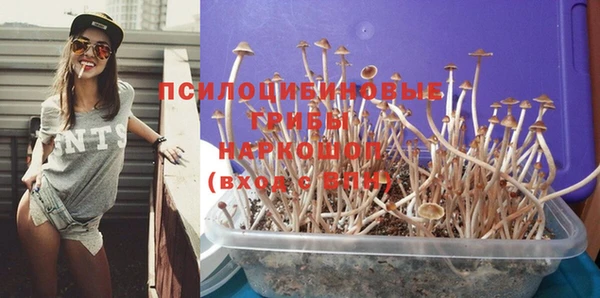 стаф Алексин